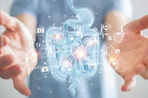 abnehmen-und-stoffwechsel