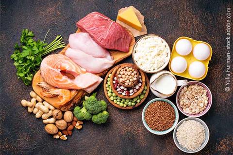 Eiweiß und Fettleber