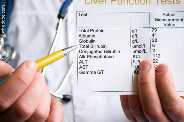 Erhöte Leberwerte – Wissenswertes, Ursachen Und Bedeutung
