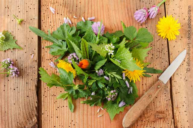 Kochen Mit Wildkräutern: Von Der Wiese Auf Den Teller